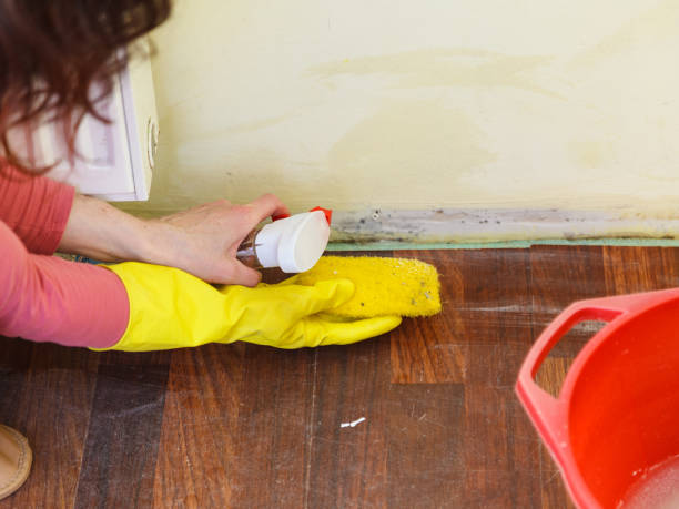 Asbestos and Lead Testing During Mold Inspection in Thiells, NY